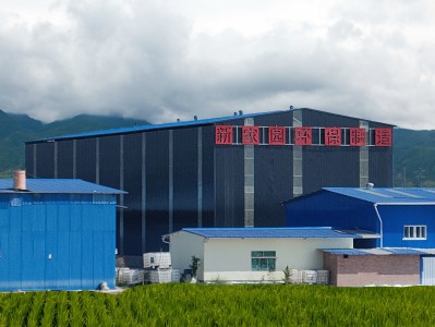 寶雞鑄造、涂料、制藥工業(yè)VOCs廢氣排放哪些細節(jié)值得注意！